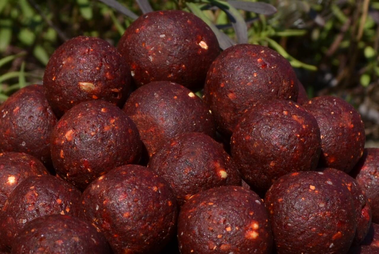 Cips Baits 2015 - csc1693.JPG